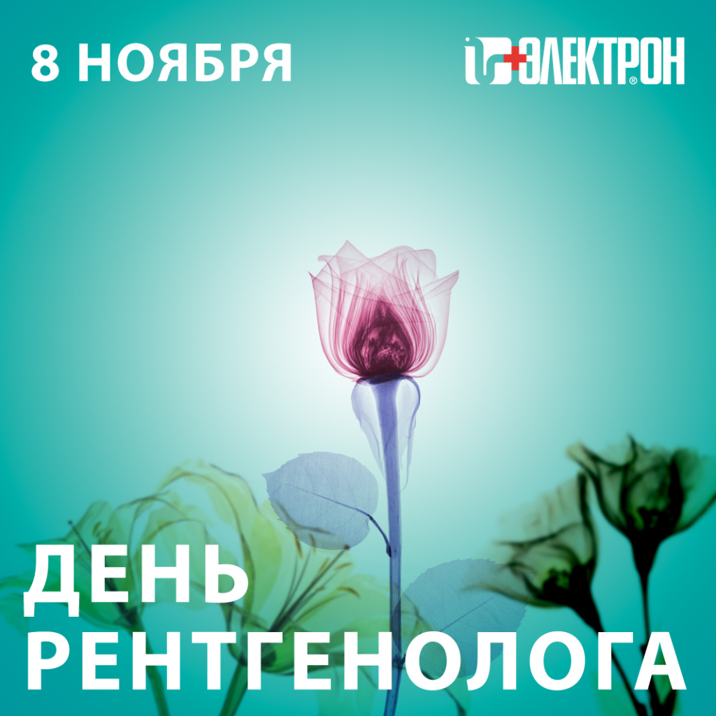 xray-d_24-01.jpg xray-d_24-01.jpg